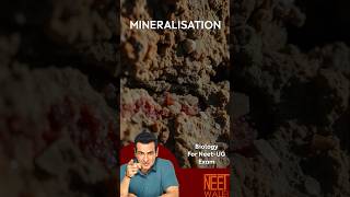 Mineralisation  process amp types of mineralisation  Ecosystem  class 12th  NEET BIOLOGY neet [upl. by Suiram]