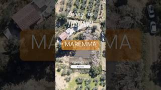 For SALE near Castiglione del Pescaia Tuscany Maremma area tuscanyvilla realestate tuscany [upl. by Rabma895]