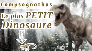 COMPSOGNATHUS quotLE CHAINON MANQUANTquot [upl. by Eniarol]