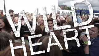 Wild Heart Official Lyric Video [upl. by Boot]