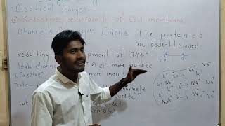 Resting membrane potential  introduction  ionic basis  sodium potassium pump  cell permiability [upl. by Imotih588]