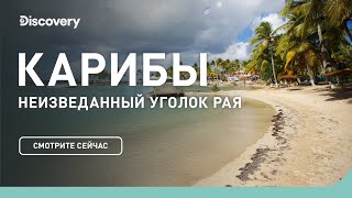 Карибы  Неизведанные острова  Discovery Channel [upl. by Kylander]