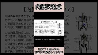 【内臓反射点アプローチ】内臓反射点、足底反射区、経穴の違い、体液循環、リンパ [upl. by Duax]