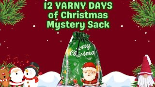 🎅🏻 Theyre BACK amp Introducing 12 Days of Christmas Sack unboxing  Crochet Rocks 🎅🏻 [upl. by Ellennaj422]