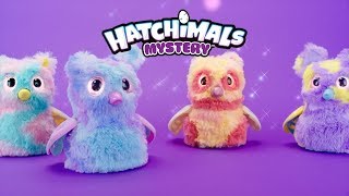 Hatchimals  Hatchimals Mystery  15 Commercial [upl. by Pittel76]