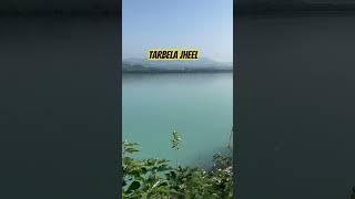 Tarbella Jheel explore nature landscape [upl. by Nauqes551]