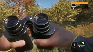 1 HOUR  1 KILL Lets Play theHunter Call of the Wild on Xbox One [upl. by Adnical100]