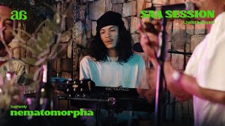 Fourtwnty  Nematomorpha  Live at SAA Session [upl. by Shepherd]