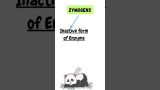 Zymogens shorts ytshorts viralshorts youtube zymogens enzymes trending pritiduhanofficial [upl. by Kee]