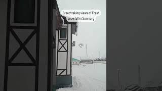 Fresh Sonmarg snowfall video 29012024  Sonmarg snowfall today  Kashmir snowfall [upl. by Neyuq]