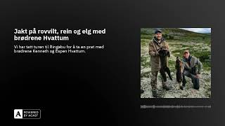 Jakt på rovvilt rein og elg med brødrene Hvattum [upl. by Stoller818]