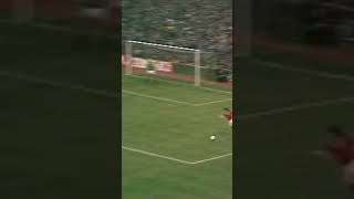 Glenn Hoddle Goal [upl. by Yrelbmik235]