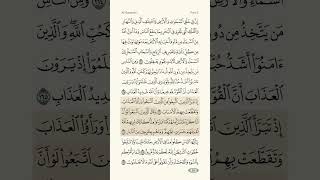 Quran Page 25 Al Baqarah  Abdullah Matroud [upl. by Anerec]