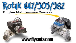 Rotax 377 447 503 582 two stroke engine repair courses South Mississippi Light Sport Aircraft [upl. by Haidabez]