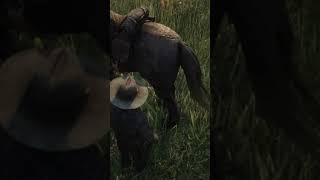 RDR2  How to clean a horse shorts rdr2 [upl. by Nodnal]