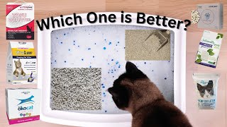 Best Cat Litter For Multiple Cats Extremely Thoroughly Tested [upl. by Sungam978]