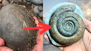 How I Prepare Fossils  Amazing Ammonite Transformation [upl. by Suirtemed]