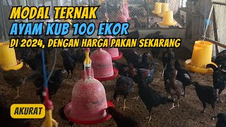 Modal Ternak Ayam KUB 100 Ekor di 2024 dari DOC Sampai Siap Panen [upl. by Bernat]