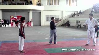 Kyokushin Whitebelt vs Jeet Kune Do [upl. by Netneuq]