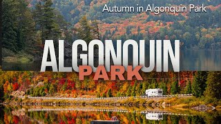 Algonquin Provincial Park [upl. by Ydieh]