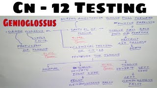 Hypoglossal Nerve Testing  Safety Muscle of Tongue  The Charsi of Medical Literature [upl. by Katzman]