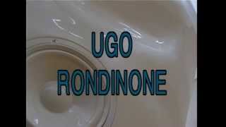 Ugo Rondinone [upl. by Airdnala]