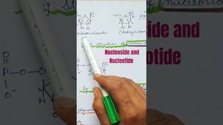 Nucleoside and nucleotide shorts molecularbasisofinheritance [upl. by Lednem]