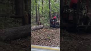 Hurricane Helene dumped trees on our trails pt2 [upl. by Xaviera991]