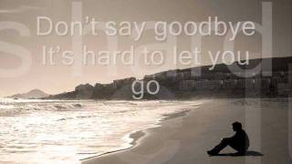 Dont Say Goodbye hard to let you go w lyrics Pops Fernandez [upl. by Borchers273]