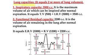 RESPIRATORY SYSTEM PART II Lung volumes and capacities [upl. by Diella]