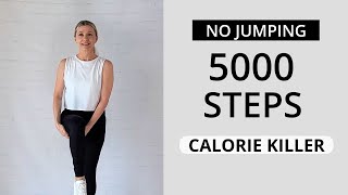 WALKING WORKOUT  5000 STEPS  NO JUMPING [upl. by Atnod738]