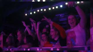 Glass Animals  Dreamland Tour Diary US Vol 1 [upl. by Eldon]