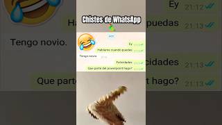 Chistes malos de WhatsApp 3 😂🦜 ninfa humor shorts [upl. by Adnoval]