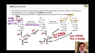 Epimerization and Carbonyl Migration of Carbohydrates [upl. by Galligan640]