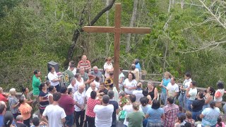 26112023 Mensagem e Aparição de Nossa Senhora Mãe Peregrina [upl. by Iznyl510]