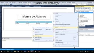 Como utilizar Reportviewer y realizar Reportes visual studio 2013 [upl. by Darleen]