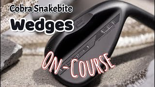 Snakebite Wedges on Course for the first time [upl. by Labotsirhc33]