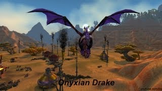 Mount Onyxian Drake  World of Warcraft [upl. by Tillinger]