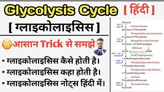 Glycolysis Cycle  Glycolysis Pathway  Carbohydrates Metabolism  Glycolysis in hindi  Glycolysis [upl. by Inafets]