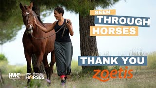 Thank You Zoetis 2024 Seen Through Horses Campaign [upl. by Dniren]