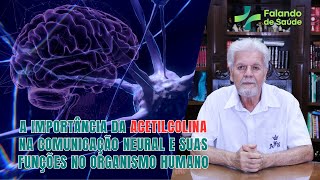 Acetilcolina A Função Fundamental do Neurotransmissor na Regulação das Funções Cognitivas [upl. by Rugg]