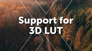 Support for 3D LUT [upl. by Nihhi]