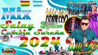 MIX WILI ROJAS CUMBIA SUREÑA CUMBIA CON SABOR PRIMICIA 2024 DJ IMPA [upl. by Ahsieyt160]