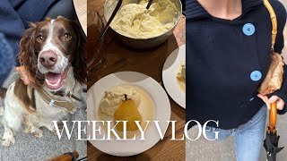 Jai Fini mes Études Décoration et Shopping pour la Maison  Weekly Vlog [upl. by Cilurzo]