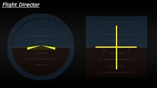 Flight Director Explained [upl. by Ribaudo767]