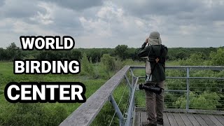 BentsenRio Grande Valley State Park WORLD BIRDING CENTER [upl. by Shult]