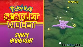 Shiny Slakoth REACTION  Pokemon Scarlet and Violet [upl. by Emmery]