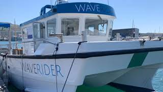 Waverider Dive Charter Hardboat [upl. by Roarke944]