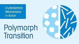 Crystallization Mechanisms Crystal Polymorphism crystallization [upl. by Aikcir]