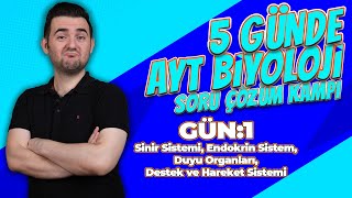 AYT Biyoloji Soru Çözümü Kampı  AYT Biyoloji 1GÜN  11sınıf Biyoloji [upl. by Leiso879]